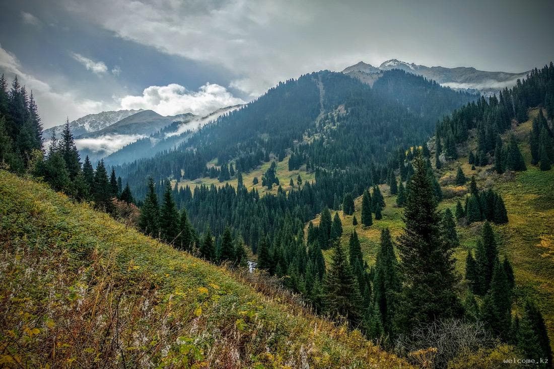 Almaty Mountains Hiking Tour: Ile-Alatau Routes travel experience in Kazakhstan and Central Asia