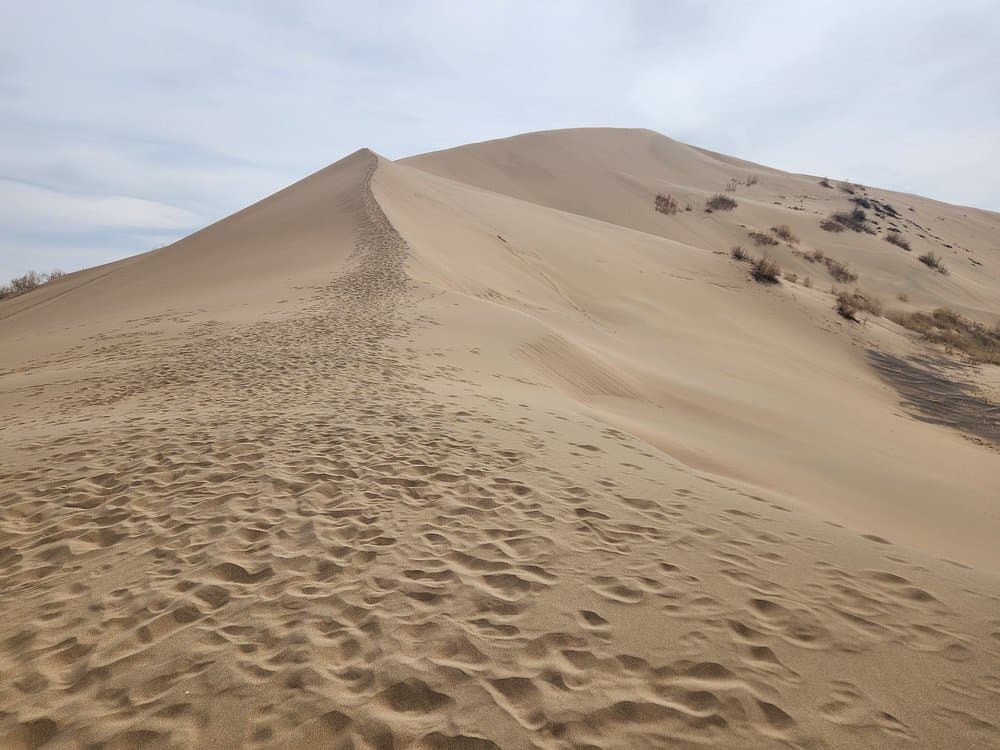 Altyn Emel — Group Tour landscape in Kazakhstan