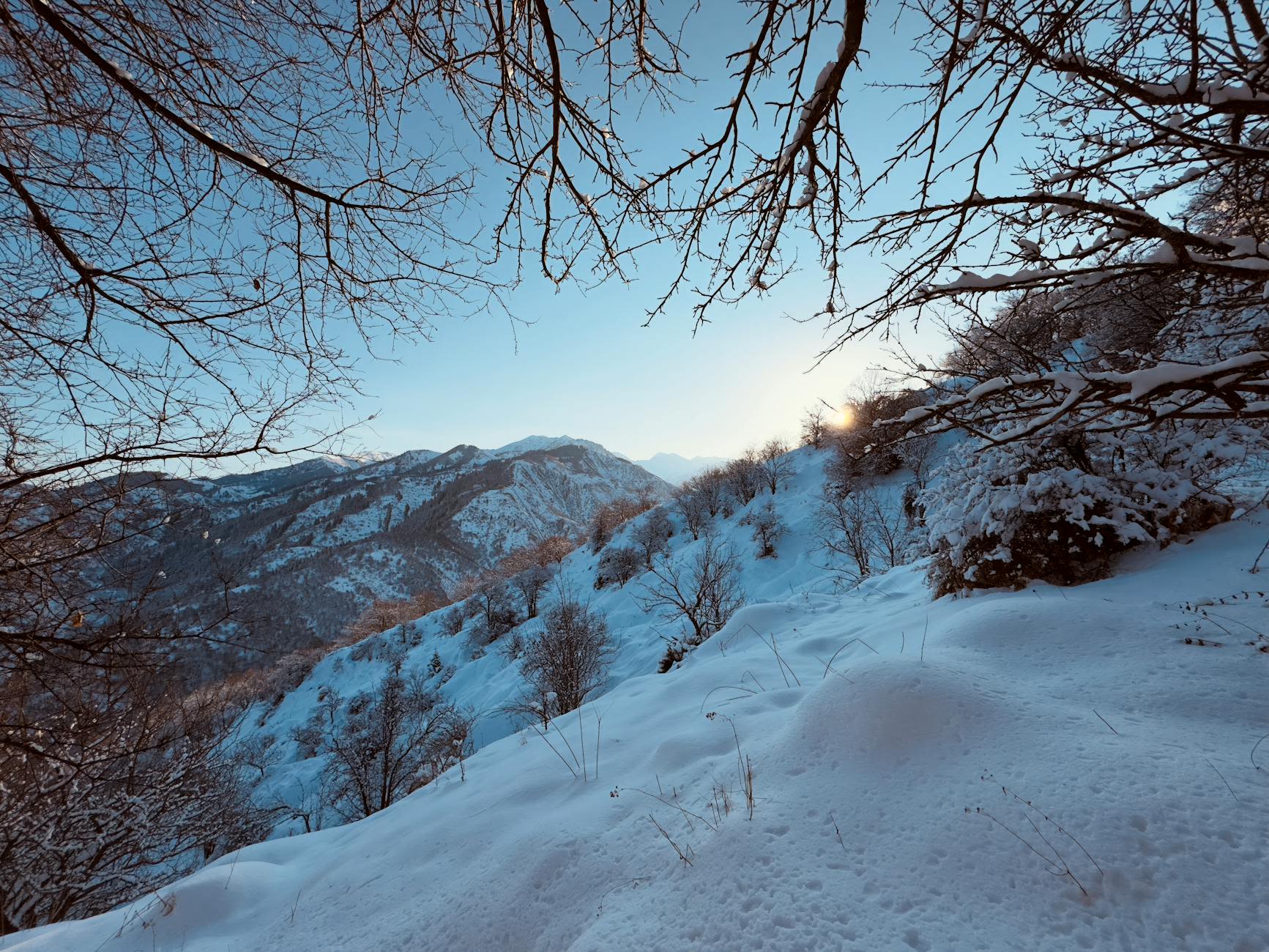 Алматинская область: Горы и национальные парки. Руководство

Алматинская область предлагает множество природных чудес, включая горы, национальные парки и живописные ландшафты. Одним из самых популярных направлений является национальный парк Алтын-Эмель, где можно увидеть Поющую дюну, горы Актау и Катытану. Ущелье Кимасар, расположенное рядом с катком Медео, считается одним из самых доступных маршрутов для прогулок. Мягкий уклон делает его подходящим даже для новичков и детей, что привлекает множество любителей походов, особенно по выходным. 

Маршрут может включать подъем к высокогорным качелям, а затем к пику Фурманова (3053 м н.у.м.) и финальный рывок к пику Панорама (3260 м н.у.м.). Для более опытных туристов есть возможность продолжить путь к перевалу Большой Талгар, завершив более сложный маршрут «Четыре пика» по часовой стрелке.

Также стоит посетить пик Большого Алматинского озера (3680 м н.у.м.), который легко виден из города. Это ущелье предлагает более сложные подъемы, такие как пик Советов (4317 м н.у.м.) и Молодажка (4147 м н.у.м.).

**Многодневные треккинги.**
Летние многодневные треккинги, такие как Большое Алматинское кругосветное, ведут из Малого ущелья (перевал Большой Талгар) в Большое вдоль ущелья Левый Талгар, от района Медео к озеру Большое Алматинское. По пути вы сможете насладиться разнообразием климатических зон, включая альпийские луга, сосновые леса и ледники.

Вы можете охватить все основные туристические направления национальных парков Алматинской области за четыре дня в рамках специального тура «Золотое кольцо Джетысу». Этот маршрут на 4WD включает в себя Поющую дюну, горы Актау и Катытану, а также каньоны Чарын, Бестамак, Луна и Темирлик, и завершится посещением горных озер Колсай и Кайынды.

Национальный парк Иле-Алатау, расположенный к югу от Алматы, также стоит вашего внимания. Он включает озеро Большое Алматинское и ущелье Турген, где можно встретить разнообразную диких животных, включая снежных барсов и медведей. Ущелье Турген, длиной около 45 километров, предлагает несколько живописных водопадов и является настоящим раем для хайкеров.

Национальный парк Алтын-Эмель, известный своими вулканическими скальными образованиями и древними петроглифами, также стоит посетить. Здесь можно увидеть редкие виды животных, такие как лошади Пржевальского. 

Планируя поездку в Алматинскую область, вы сможете насладиться уникальными природными красотами и разнообразием активного отдыха.