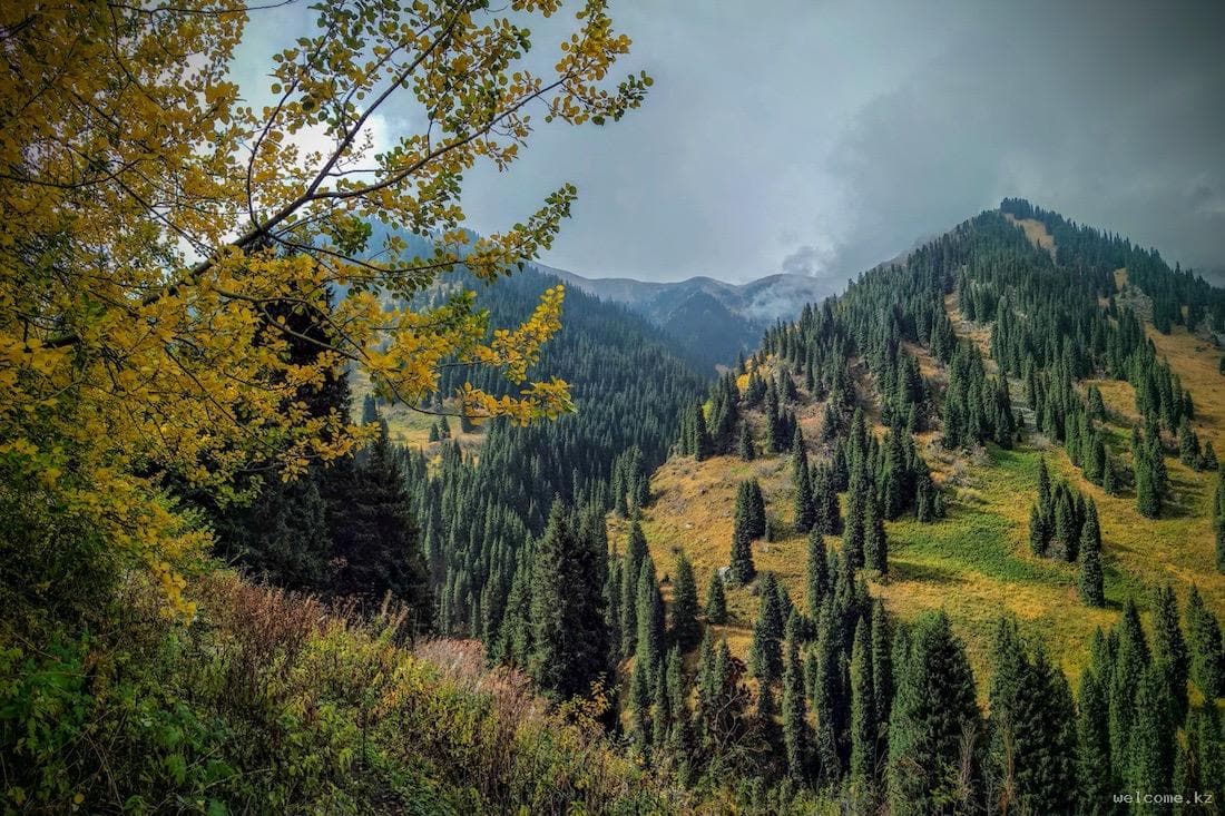 Что такое Алмарасан at Горячие источники Алмарасан, Kazakhstan