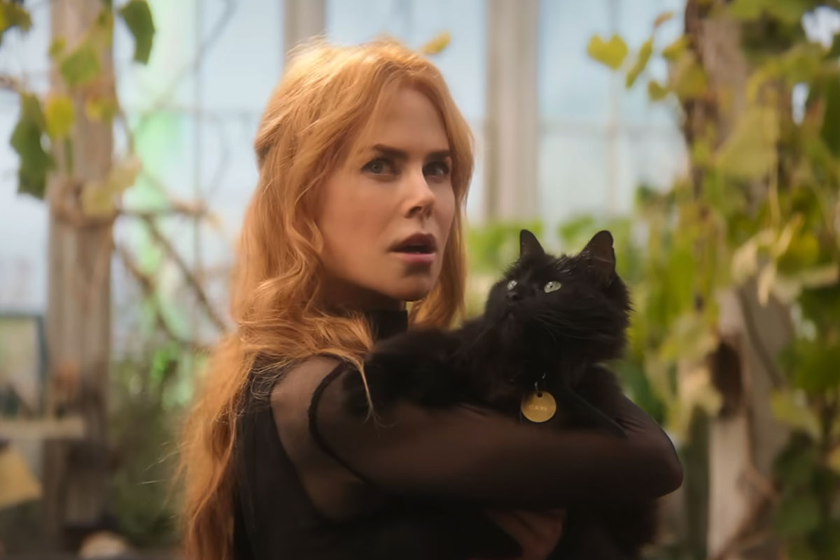 practical magic 2 is opening huge and we are here for it