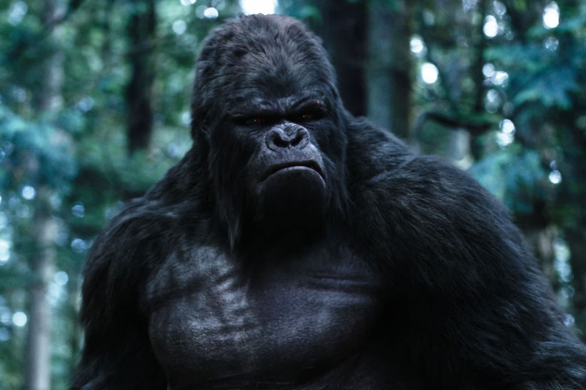 dc is letting gorilla grodd sing and dance now