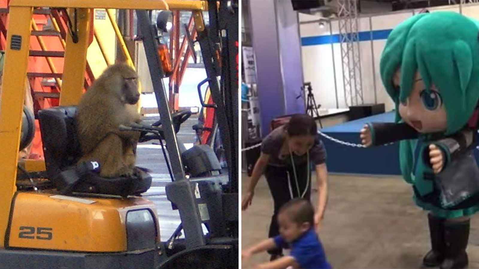 15 photos that make zero sense and i'm not okay