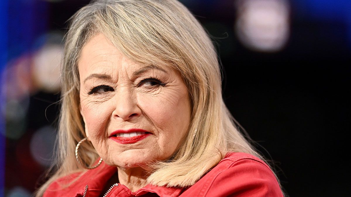 roseanne secretly made a whole new sitcom and i'm obsessed