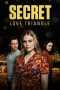 Secret Love Triangle Poster