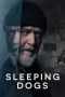 Sleeping Dogs Poster