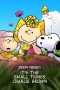 Snoopy Presents: It’s the Small Things, Charlie Brown Poster