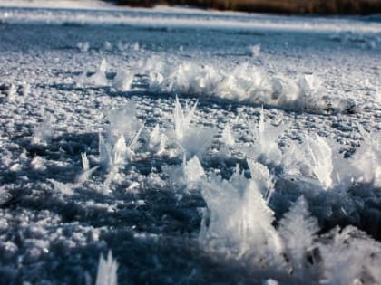 Стала известна погода в Москве в ночь на Рождество