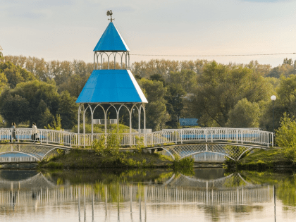 Кожурновский пруд: экосистема под угрозой