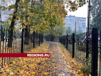 Экстремальные погодные условия в Москве: последствия и прогнозы