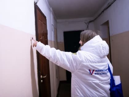 Избирателей Лыткарино проинформируют члены УИК