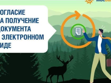 Электронные квитанции в Подмосковье: удобство и преимущества