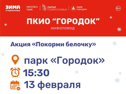 На Городке пройдет акция «Покорми белочку»