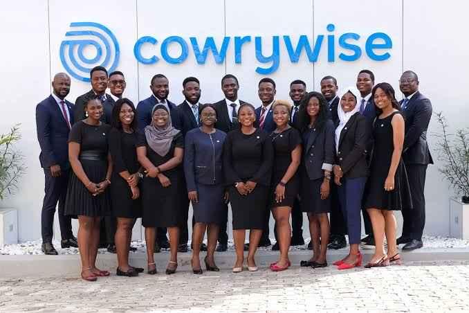 How To Use Cowrywise For Saving And Investing In Nigeria 2024