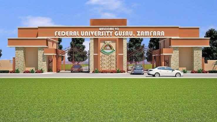 Top Universities In Zamfara: A Ranking Of The Best 20 Federal, State, And Private Institutions