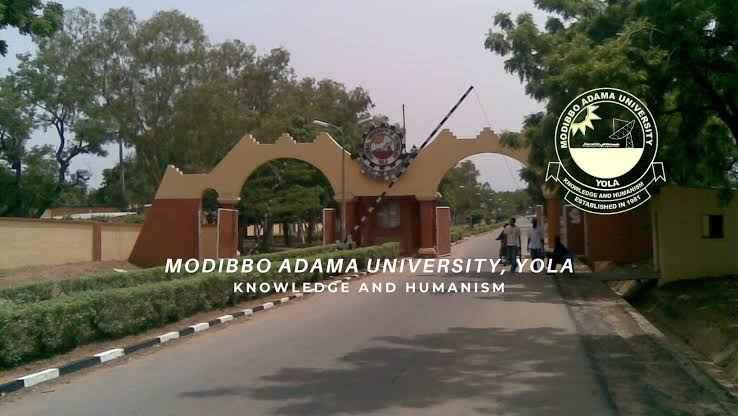 Top Universities In Adamawa: A Ranking Of The Best 20 Federal, State, And Private Institutions