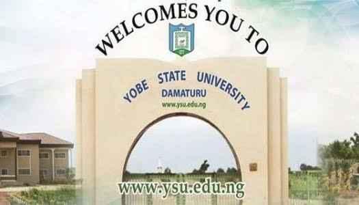 Top Universities In Yobe: A Ranking Of The Best 20 Federal, State, And Private Institutions