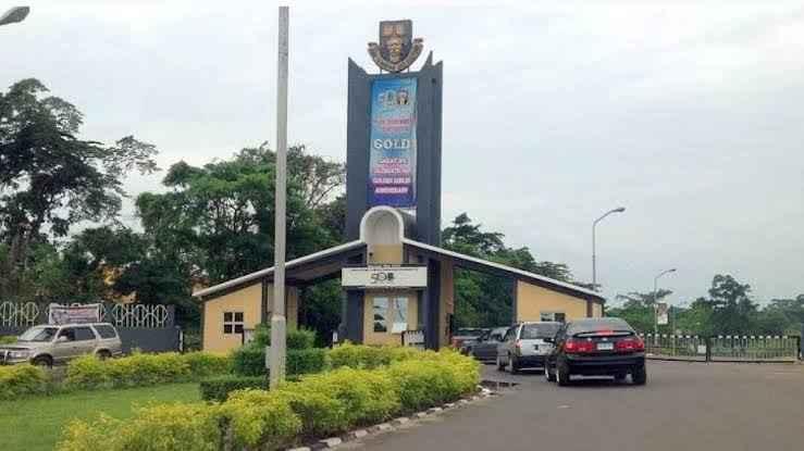 Top Universities In Osun: A Ranking Of The Best 20 Federal, State, And Private Institutions