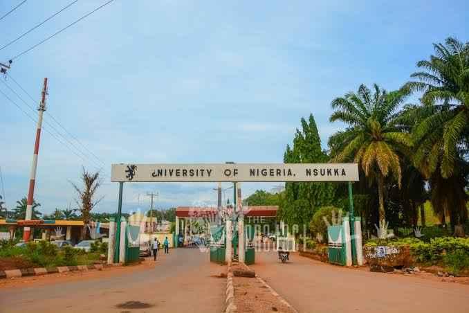 Top Universities In Enugu: A Ranking Of The Best 20 Federal, State, And Private Institutions