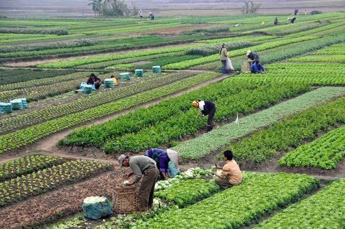 The Impact Of Climate Change On Agriculture In Nigeria