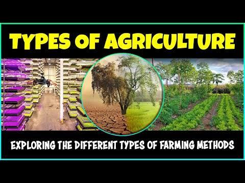 Explore The Different Types Of Agriculture