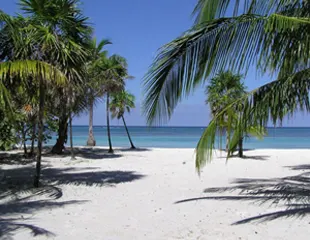 The Beach