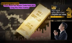 Khoá Học Master Trade Gold 2023 Cùng Hòa Thân Trading
