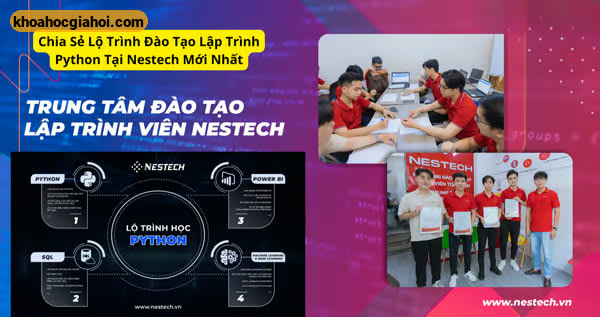 Lộ Trình Đào Tạo Lập Trình Python Tại Nestech Mới Nhất