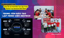 Lộ Trình Đào Tạo Lập Trình Python Tại Nestech Mới Nhất