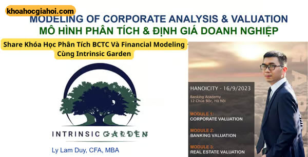 Khóa Học Phân Tích Bctc Và Financial Modeling Cùng Intrinsic Garden