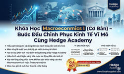 Khóa Học Macroeconomics I (Cơ Bản) – Bước Đầu Chinh Phục Kinh Tế Vĩ Mô Cùng Hedge Academy