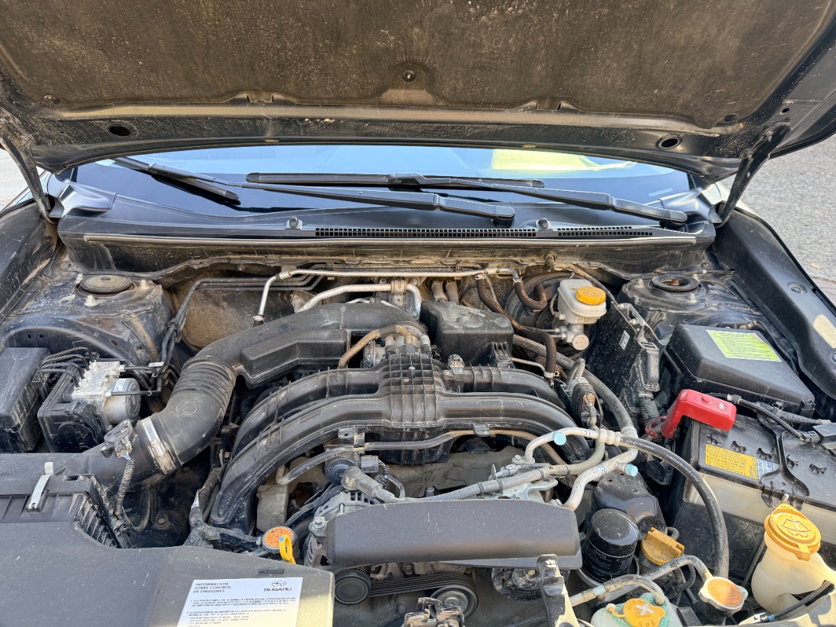 Vehicle media 18