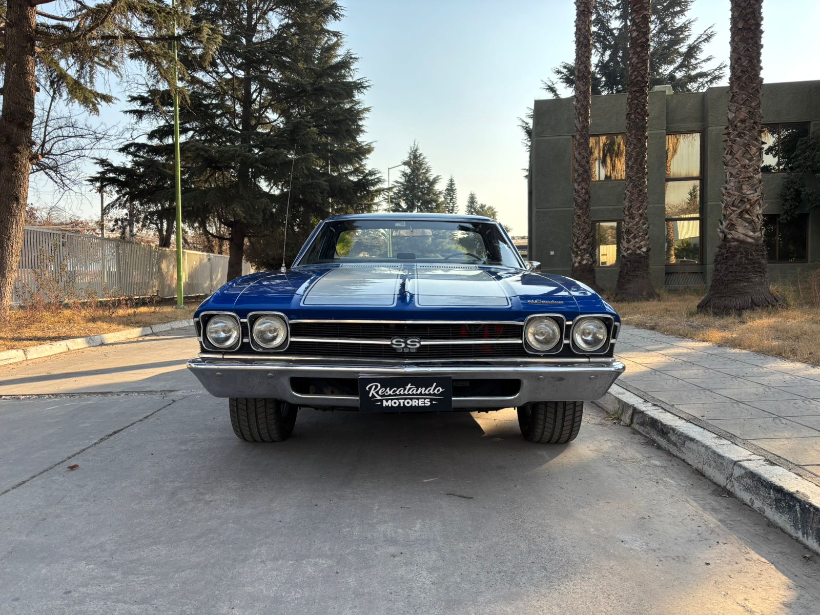 Vehicle media 4