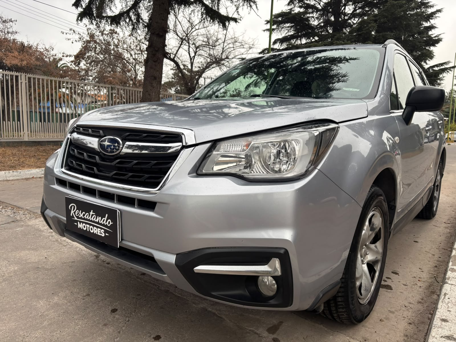 Vehicle media 11