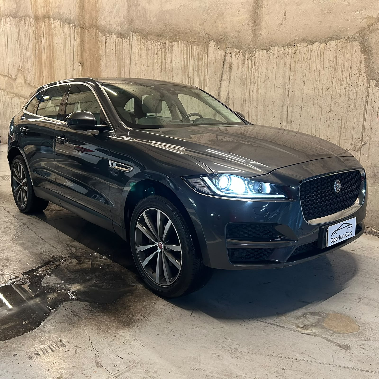 Vehicle media 7