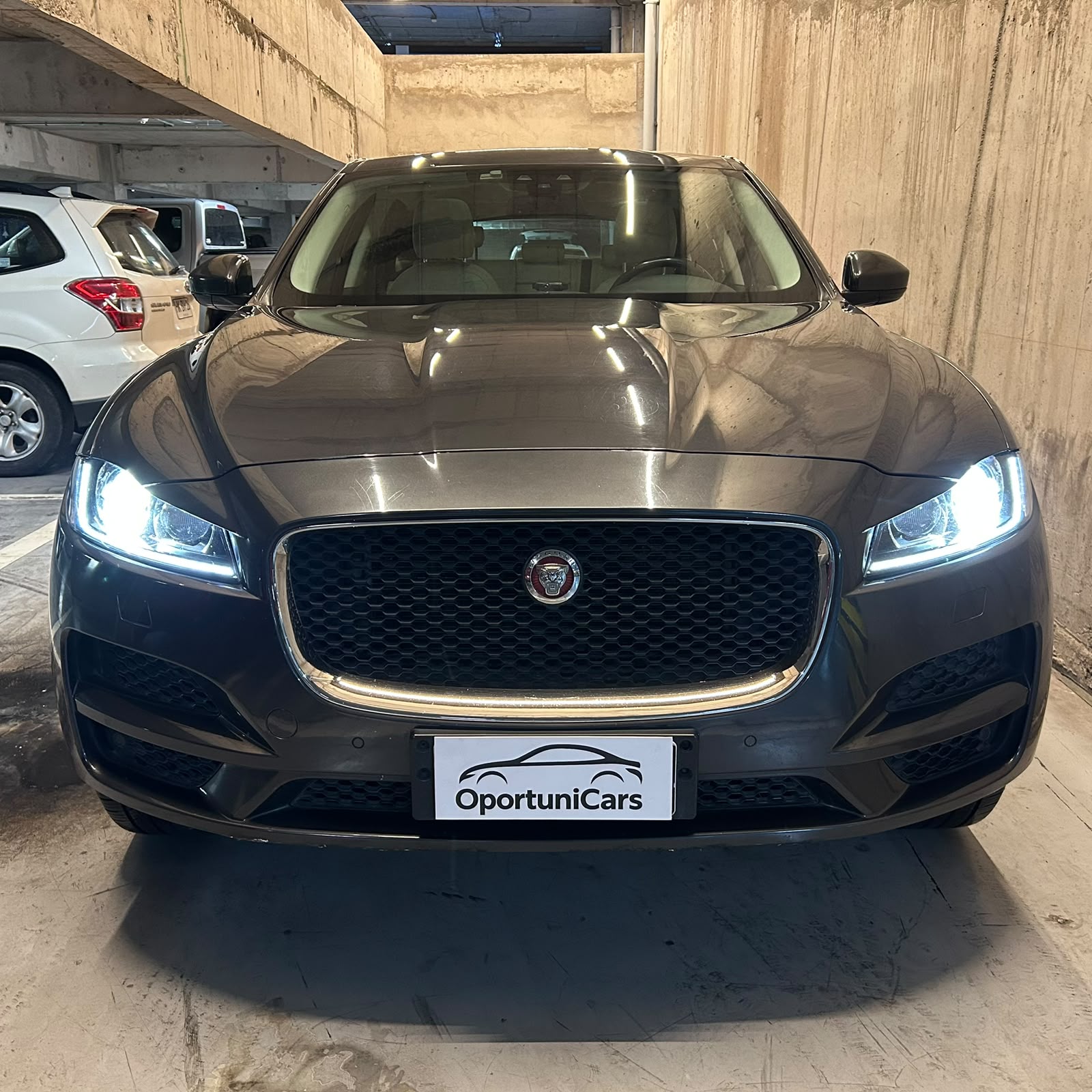 Vehicle media 8