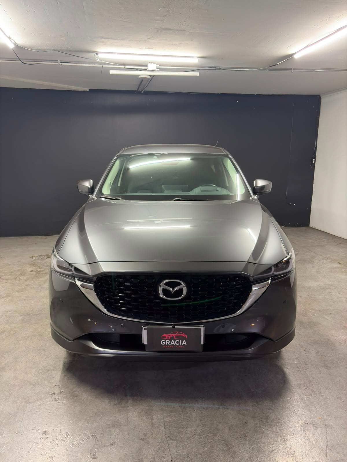 Vehicle media 2