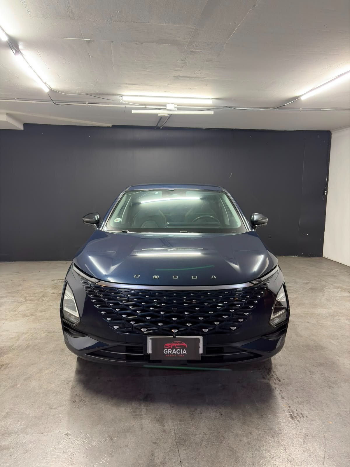 Vehicle media 2
