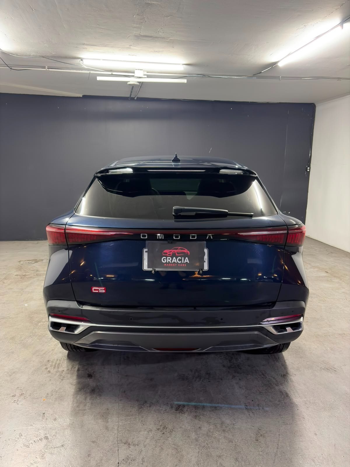 Vehicle media 5
