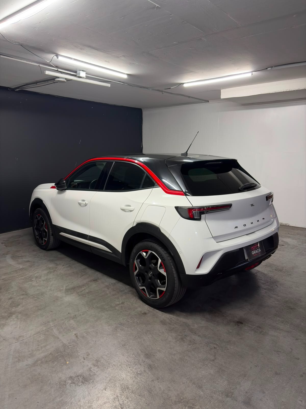 Vehicle media 6