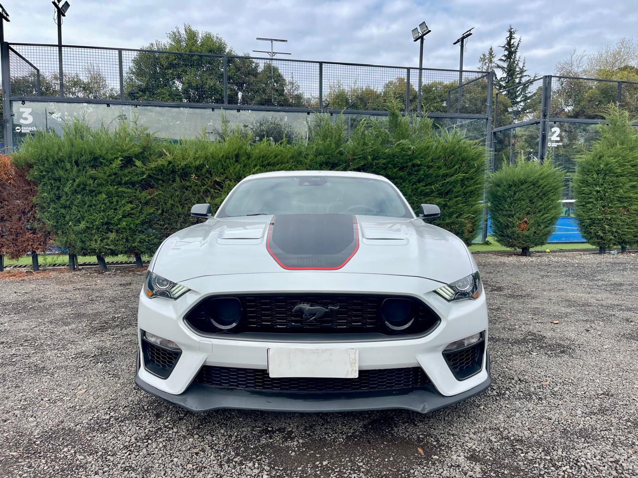Vehicle media 2