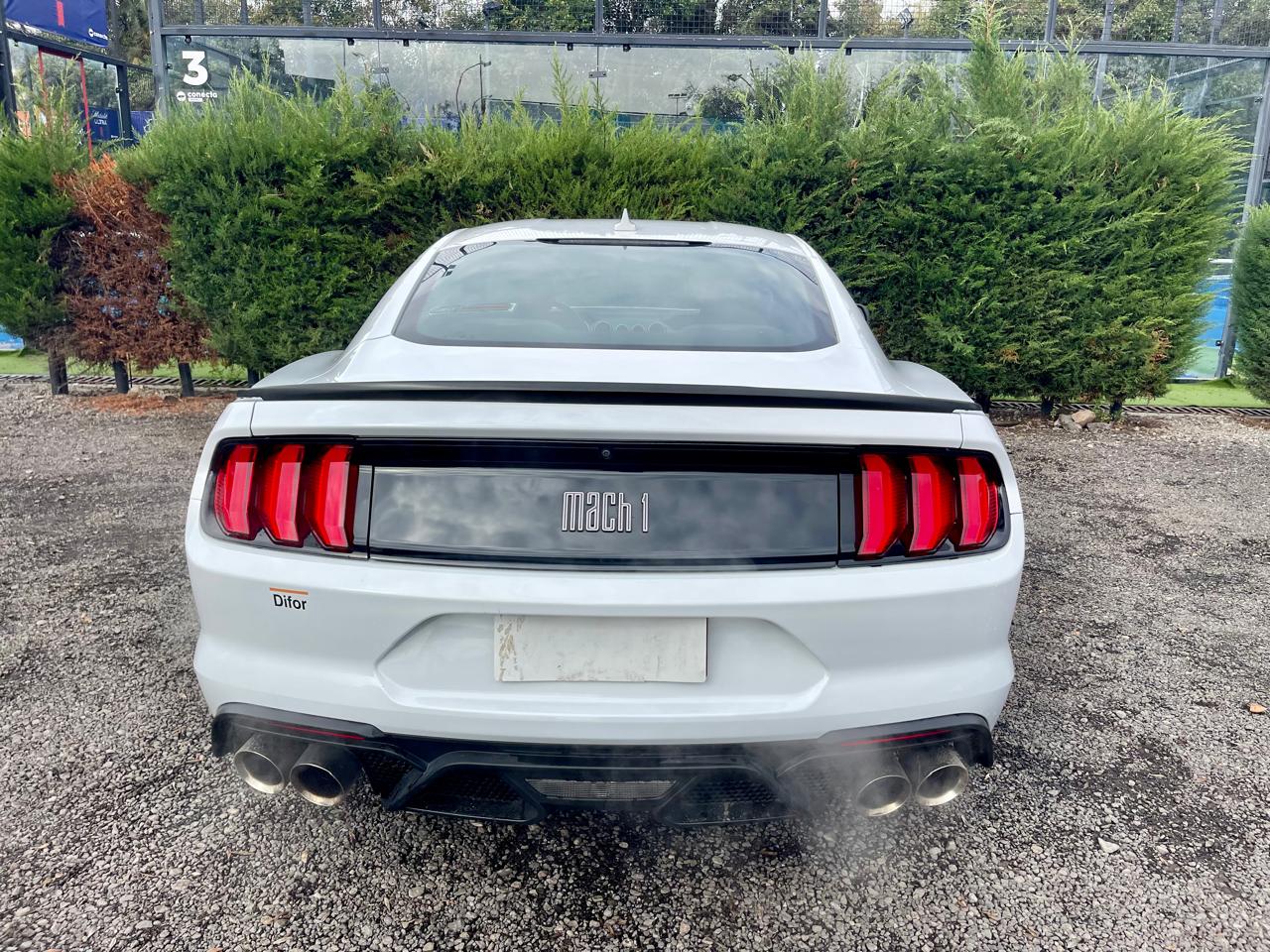 Vehicle media 7