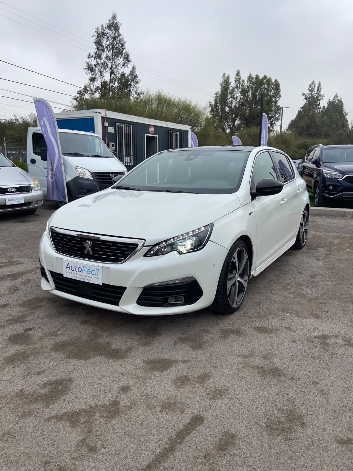 Vehicle media 6