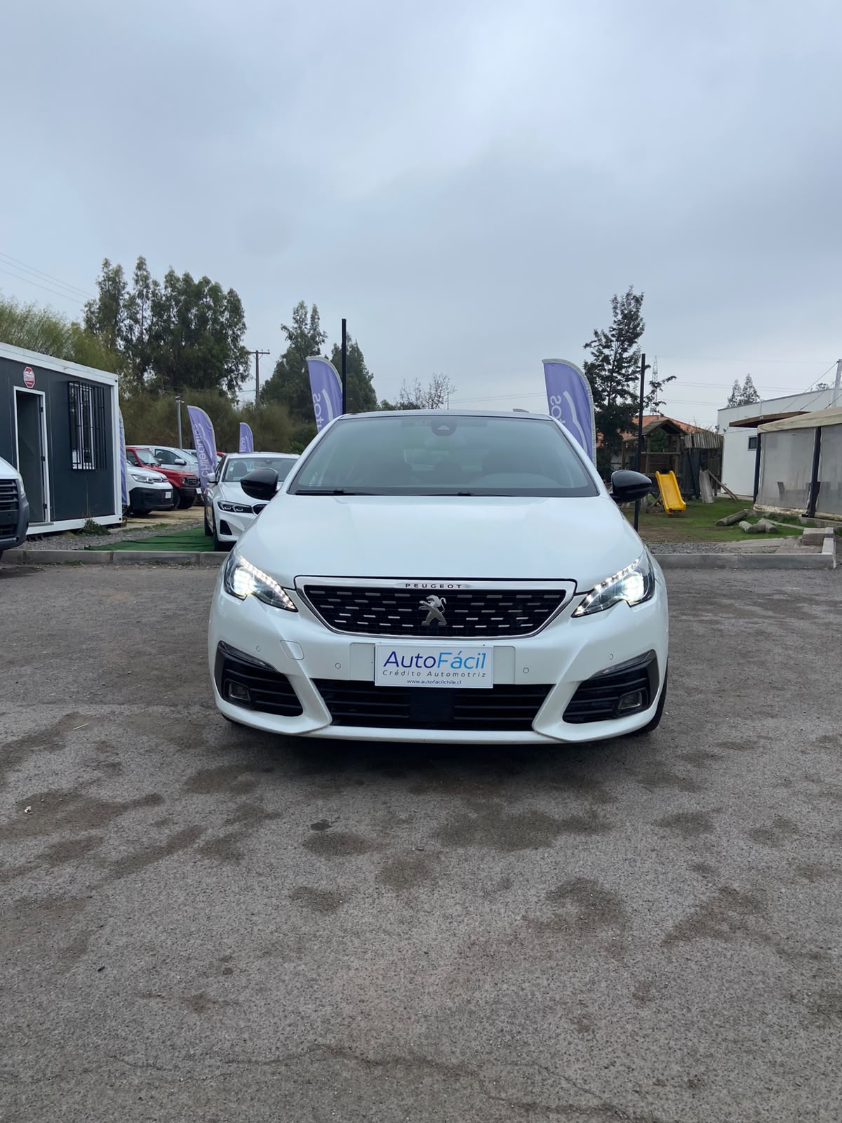 Vehicle media 1