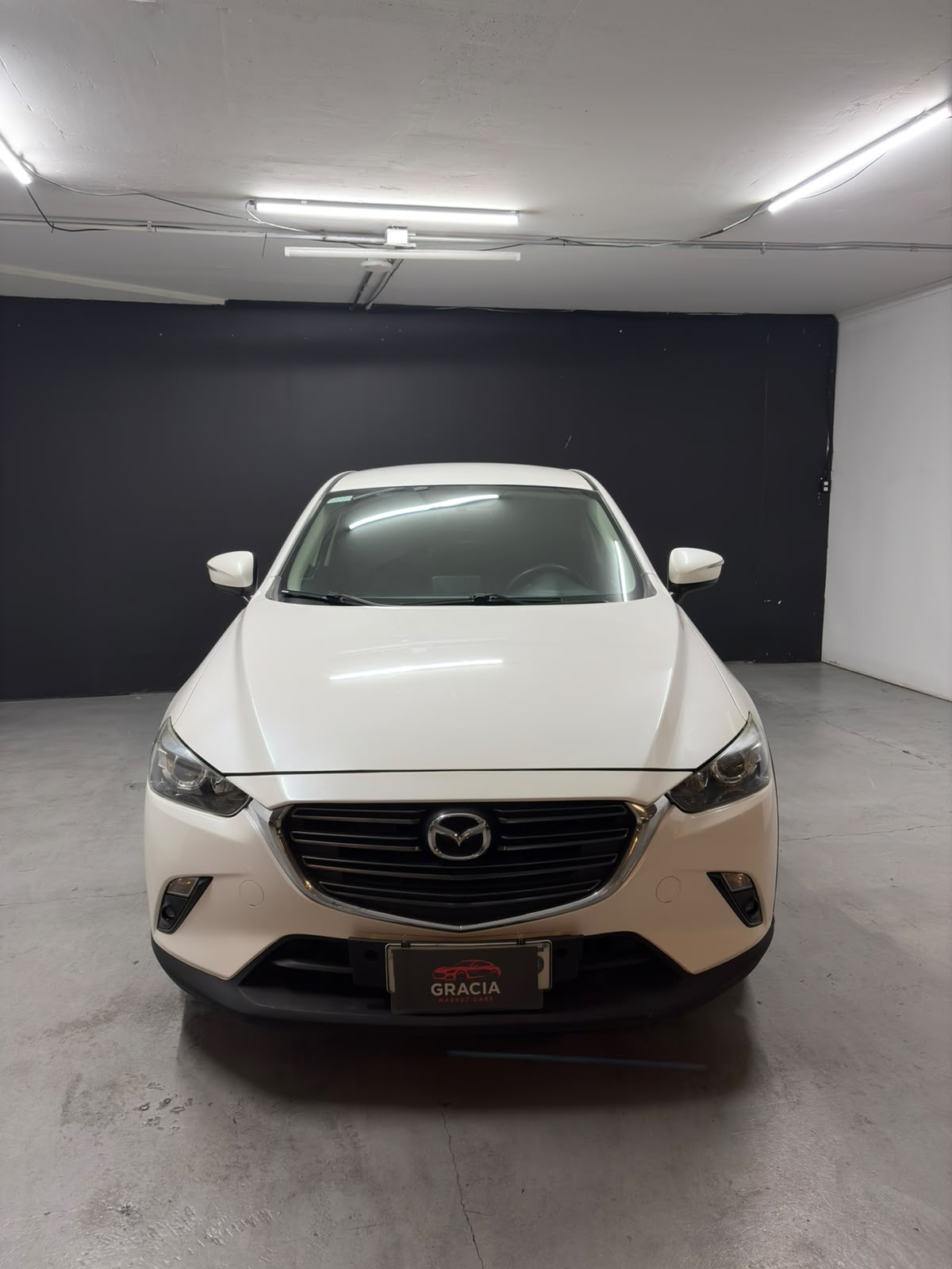 Vehicle media 2