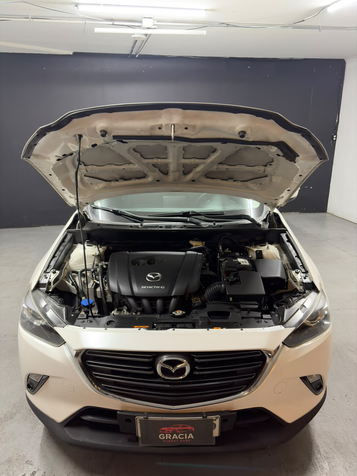 Vehicle media 19