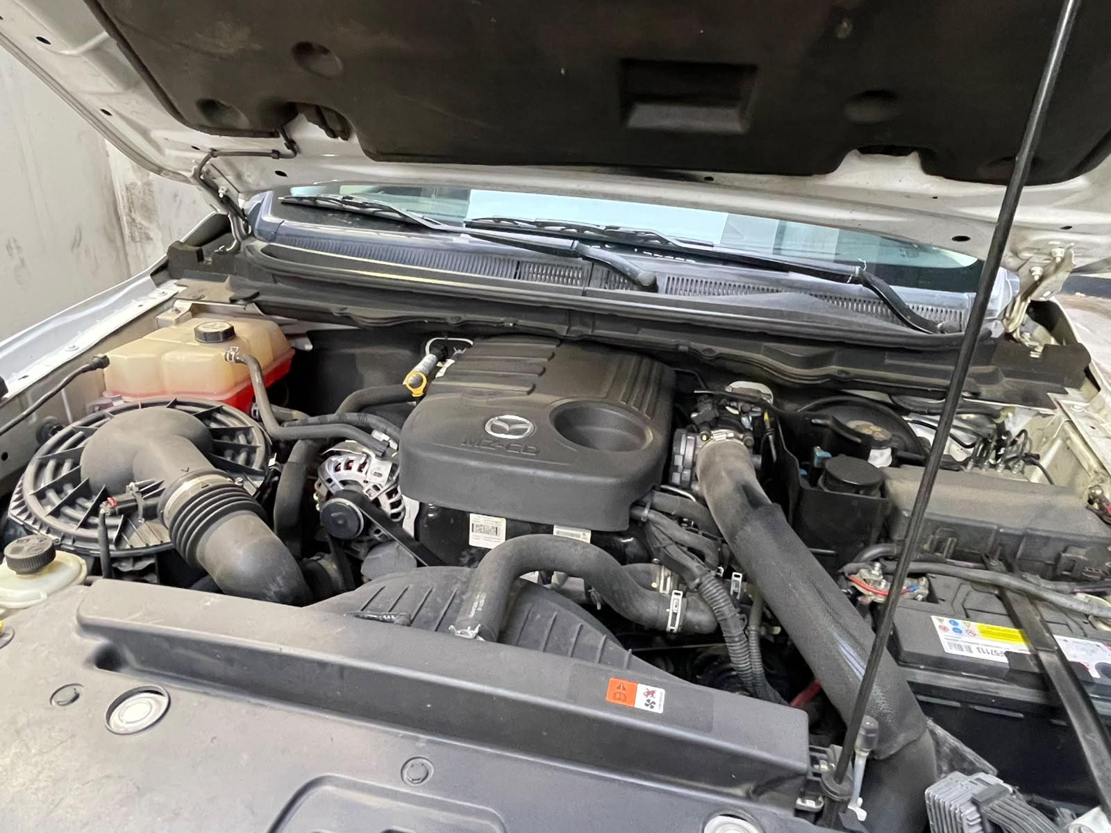Vehicle media 12
