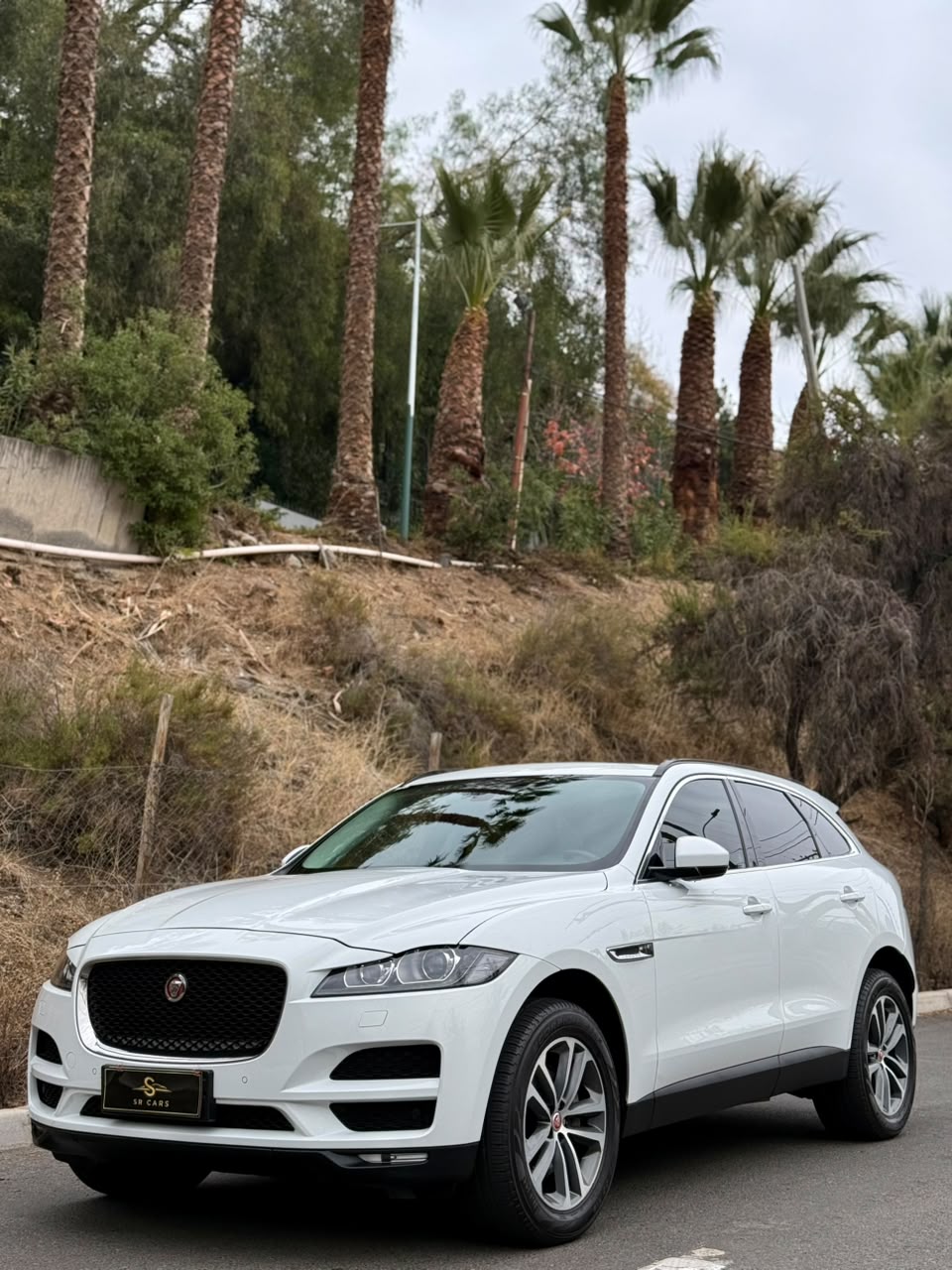 Jaguar F Pace undefined