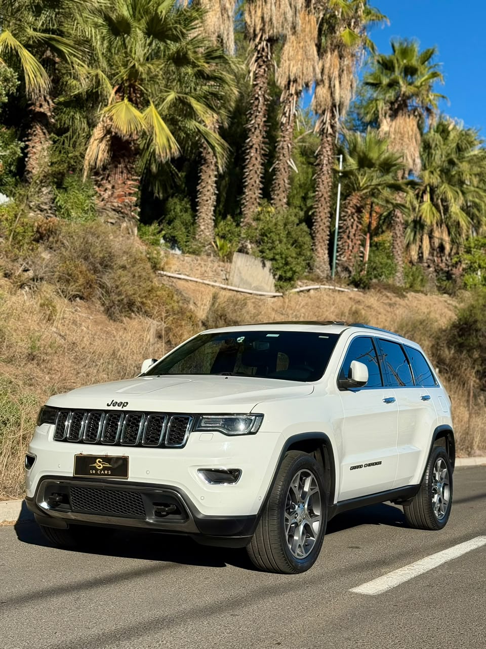 Vehicle media 6