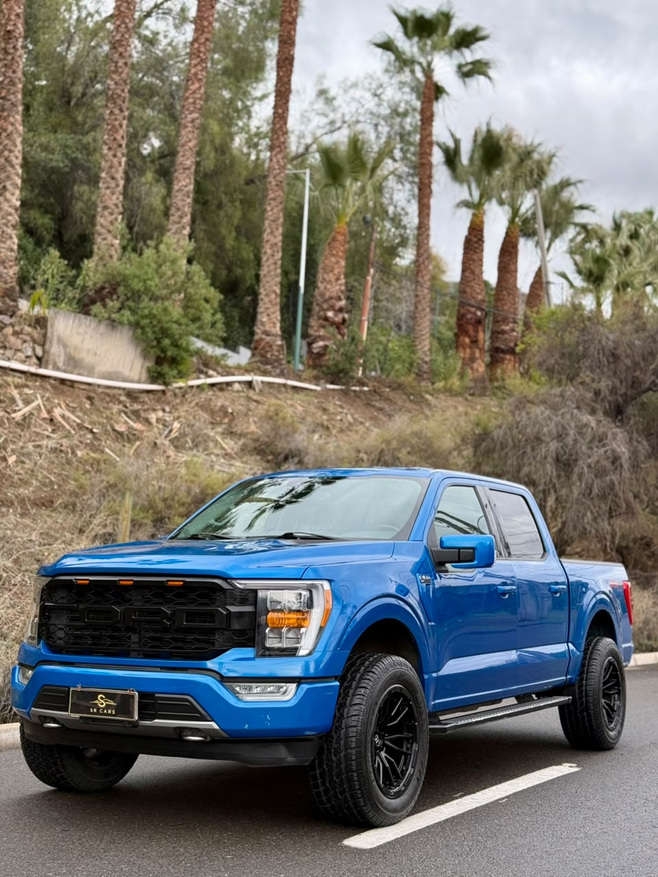 Ford F 150 undefined